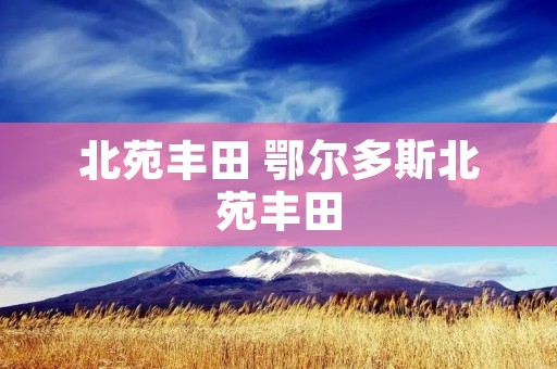 北苑丰田 鄂尔多斯北苑丰田