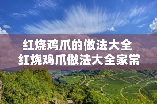 红烧鸡爪的做法大全 红烧鸡爪做法大全家常 红烧鸡爪的做法大全 红烧鸡爪做法大全家常