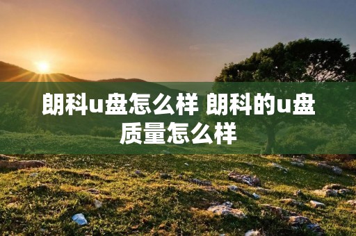 朗科u盘怎么样 朗科的u盘质量怎么样