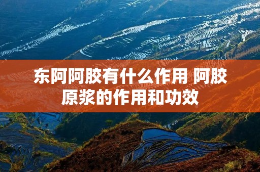 东阿阿胶有什么作用 阿胶原浆的作用和功效