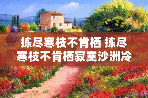 拣尽寒枝不肯栖 拣尽寒枝不肯栖寂寞沙洲冷的意思