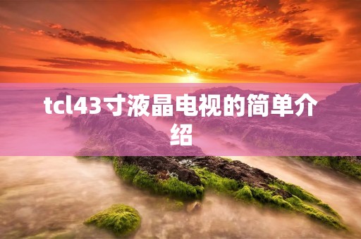 tcl43寸液晶电视的简单介绍 tcl43寸液晶电视的简单介绍