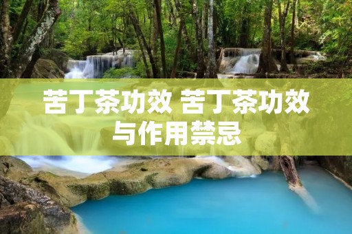 苦丁茶功效 苦丁茶功效与作用禁忌