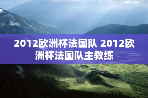 2012欧洲杯法国队 2012欧洲杯法国队主教练