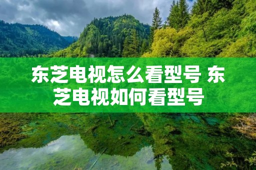 东芝电视怎么看型号 东芝电视如何看型号