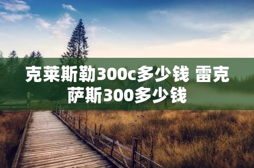 克莱斯勒300c多少钱 雷克萨斯300多少钱 克莱斯勒300c多少钱 雷克萨斯300多少钱