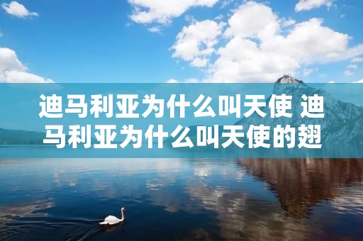 迪马利亚为什么叫天使 迪马利亚为什么叫天使的翅膀 迪马利亚为什么叫天使 迪马利亚为什么叫天使的翅膀