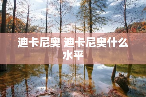 迪卡尼奥 迪卡尼奥什么水平