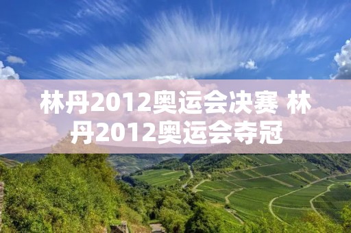 林丹2012奥运会决赛 林丹2012奥运会夺冠