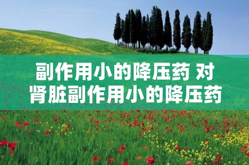 副作用小的降压药 对肾脏副作用小的降压药 副作用小的降压药 对肾脏副作用小的降压药