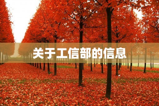 关于工信部的信息
