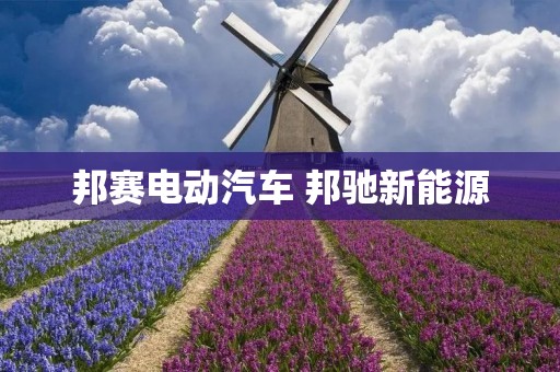 邦赛电动汽车 邦驰新能源 邦赛电动汽车 邦驰新能源