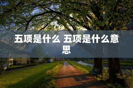 五项是什么 五项是什么意思