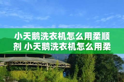 小天鹅洗衣机怎么用柔顺剂 小天鹅洗衣机怎么用柔顺剂洗衣服