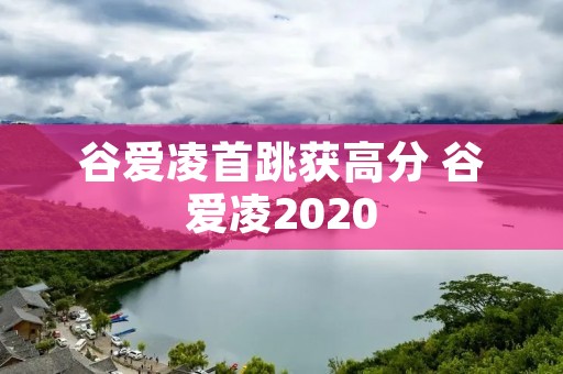 谷爱凌首跳获高分 谷爱凌2020 谷爱凌首跳获高分 谷爱凌2020