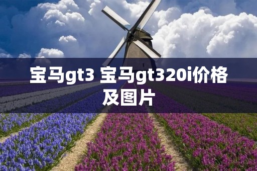宝马gt3 宝马gt320i价格及图片