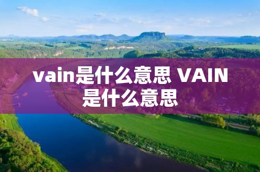 vain是什么意思 VAIN是什么意思