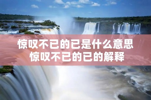 惊叹不已的已是什么意思 惊叹不已的已的解释 惊叹不已的已是什么意思 惊叹不已的已的解释