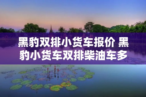黑豹双排小货车报价 黑豹小货车双排柴油车多少钱 黑豹双排小货车报价 黑豹小货车双排柴油车多少钱