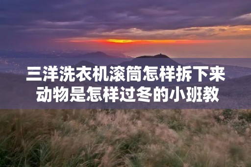 三洋洗衣机滚筒怎样拆下来 动物是怎样过冬的小班教案