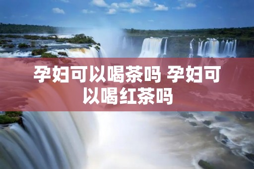 孕妇可以喝茶吗 孕妇可以喝红茶吗 孕妇可以喝茶吗 孕妇可以喝红茶吗