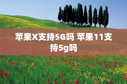 苹果X支持5G吗 苹果11支持5g吗