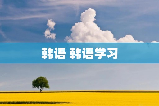 韩语 韩语学习