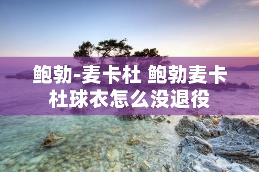 鲍勃-麦卡杜 鲍勃麦卡杜球衣怎么没退役