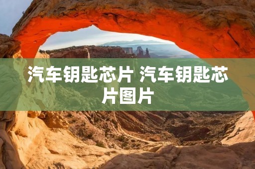 汽车钥匙芯片 汽车钥匙芯片图片