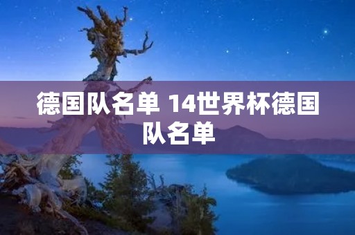 德国队名单 14世界杯德国队名单