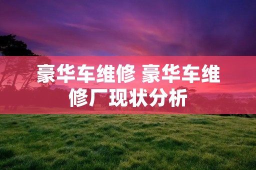 豪华车维修 豪华车维修厂现状分析