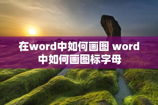 在word中如何画图 word中如何画图标字母