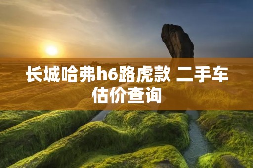 长城哈弗h6路虎款 二手车估价查询