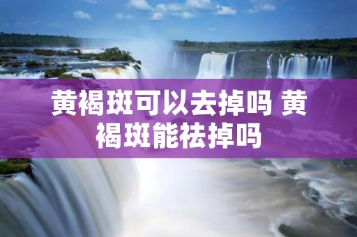 黄褐斑可以去掉吗 黄褐斑能祛掉吗 黄褐斑可以去掉吗 黄褐斑能祛掉吗
