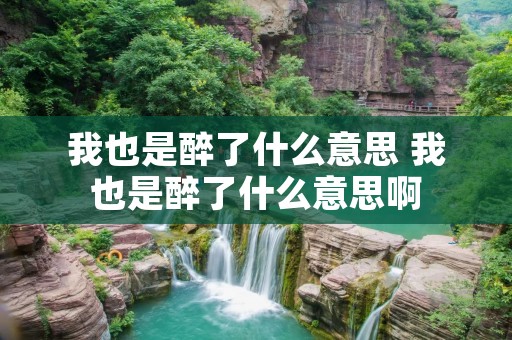 我也是醉了什么意思 我也是醉了什么意思啊 我也是醉了什么意思 我也是醉了什么意思啊