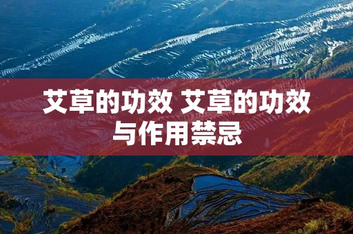 艾草的功效 艾草的功效与作用禁忌 艾草的功效 艾草的功效与作用禁忌