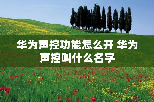 华为声控功能怎么开 华为声控叫什么名字