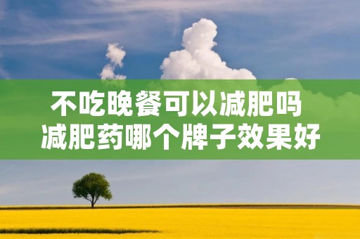 不吃晚餐可以减肥吗 减肥药哪个牌子效果好 不吃晚餐可以减肥吗 减肥药哪个牌子效果好
