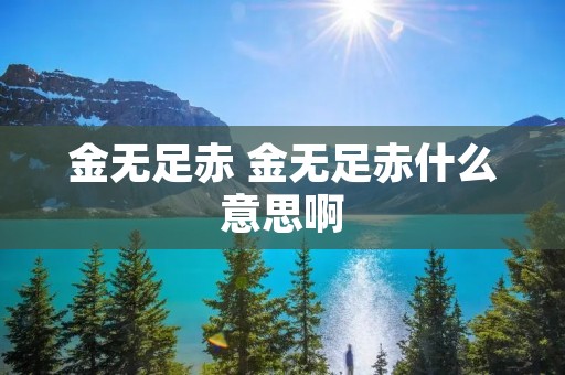 金无足赤 金无足赤什么意思啊 金无足赤 金无足赤什么意思啊