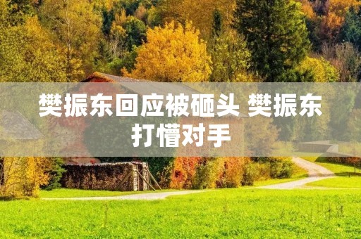 樊振东回应被砸头 樊振东打懵对手 樊振东回应被砸头 樊振东打懵对手