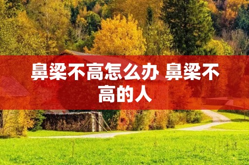 鼻梁不高怎么办 鼻梁不高的人 鼻梁不高怎么办 鼻梁不高的人