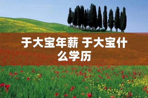 于大宝年薪 于大宝什么学历