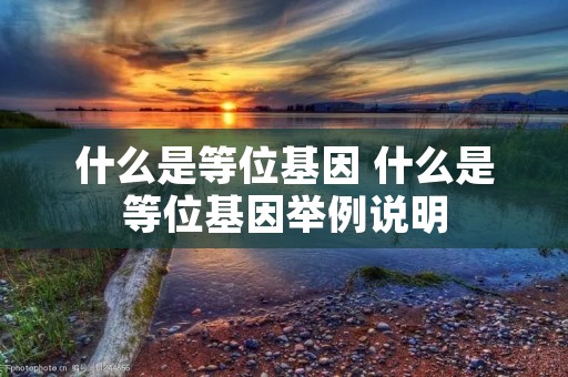 什么是等位基因 什么是等位基因举例说明 什么是等位基因 什么是等位基因举例说明