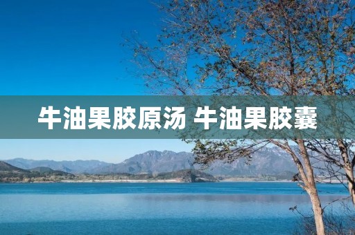 牛油果胶原汤 牛油果胶囊 牛油果胶原汤 牛油果胶囊