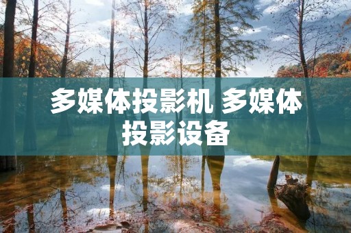 多媒体投影机 多媒体投影设备