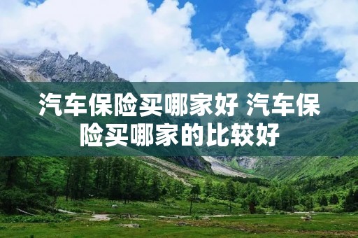 汽车保险买哪家好 汽车保险买哪家的比较好 汽车保险买哪家好 汽车保险买哪家的比较好