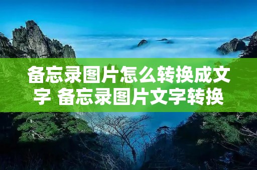 备忘录图片怎么转换成文字 备忘录图片文字转换成文本