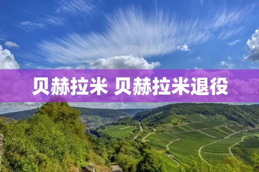 贝赫拉米 贝赫拉米退役 贝赫拉米 贝赫拉米退役