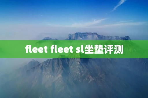 fleet fleet sl坐垫评测 fleet fleet sl坐垫评测