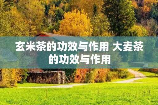 玄米茶的功效与作用 大麦茶的功效与作用 玄米茶的功效与作用 大麦茶的功效与作用